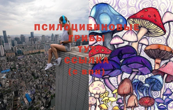 спайс Краснослободск