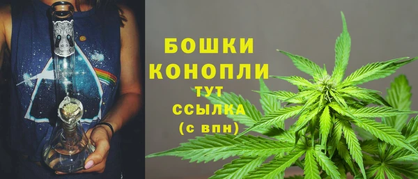 2c-b Коряжма