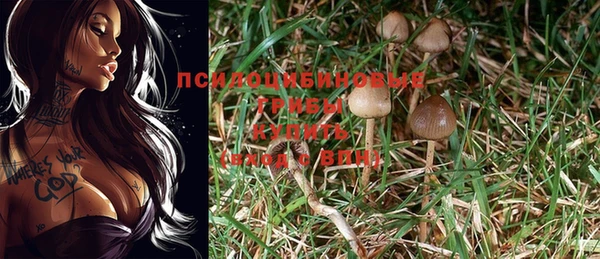 винт Корсаков