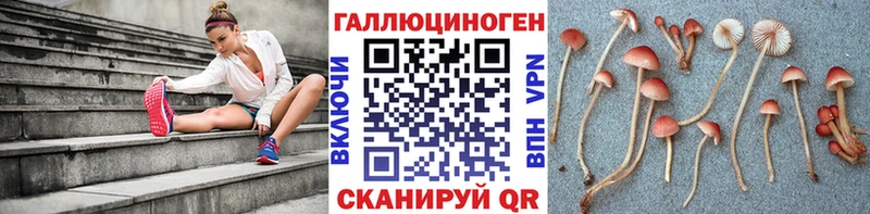 Галлюциногенные грибы прущие грибы  купить   Орехово-Зуево 
